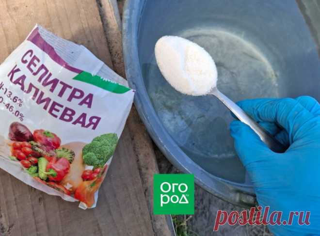 Почта Mail