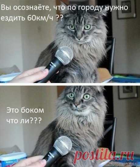 вот  вот