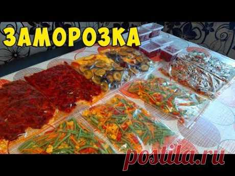 Заморозка ОВОЩЕЙ, ФРУКТОВ и ЯГОДЫ на зиму Часть 4
