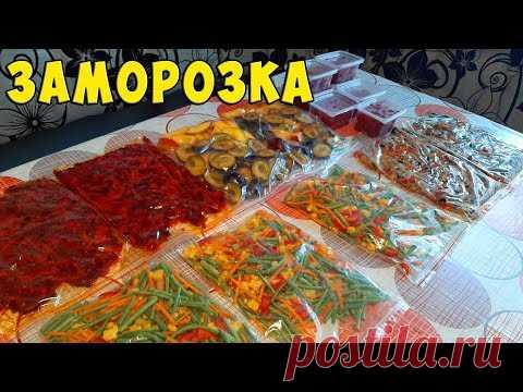 Заморозка ОВОЩЕЙ, ФРУКТОВ и ЯГОДЫ на зиму Часть 4