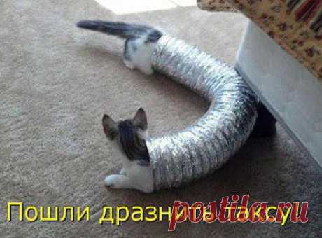 Разное
