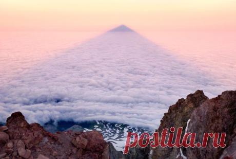 100 лучших фотографий года / Surfingbird - все, что интересно тебе