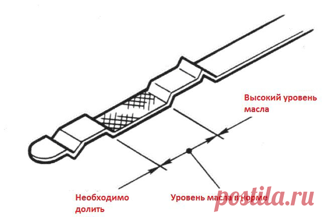 Самостоятельная замена масла в двигатели в автомобиля - инструкция