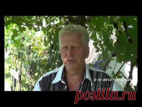 № 69 Сыны Божьи выходят замуж