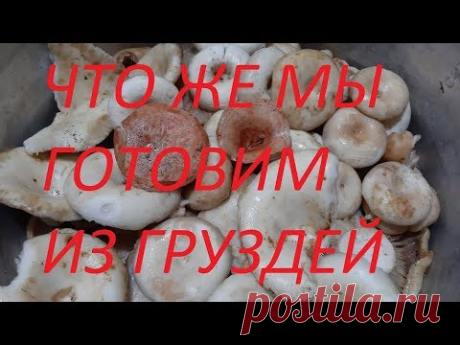 ГРУЗДИ  и  что  можно из них приготовить