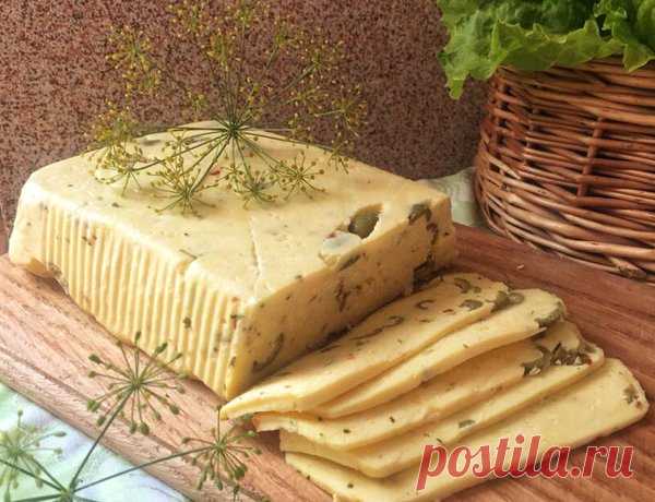 Быстрый Домашний сыр с оливками и итальянскими травами | просто здорово! |