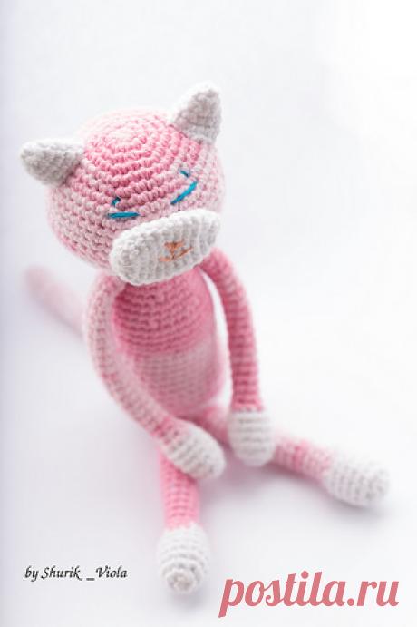 Amineko cat | Flickr - Photo Sharing!