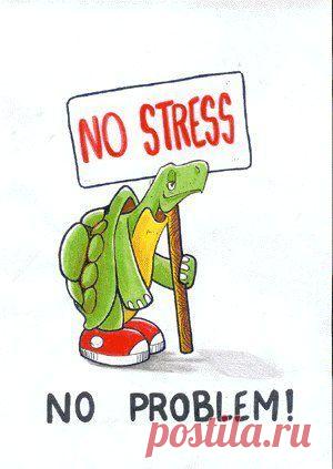 сообщение галина5819 : Успокоительный чай для нашего времени (для взрослых и для детей) (06:23 16-11-2014) [3803925/343525252] - patrenkova@list.ru - Почта Mail.Ru