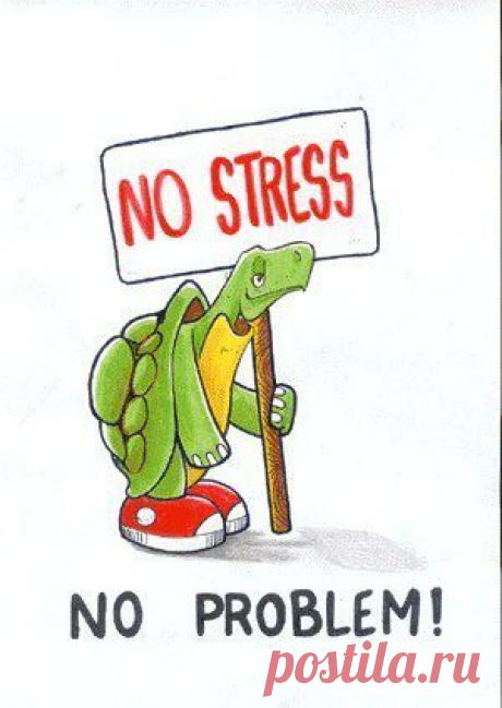 сообщение галина5819 : Успокоительный чай для нашего времени (для взрослых и для детей) (06:23 16-11-2014) [3803925/343525252] - patrenkova@list.ru - Почта Mail.Ru