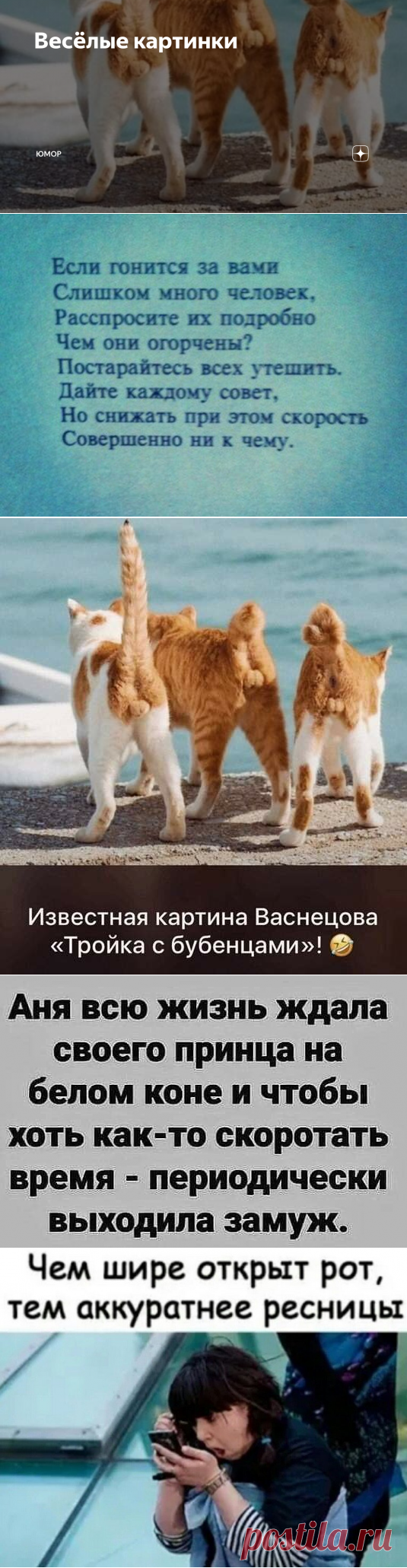 Весёлые картинки | Юмор | Яндекс Дзен