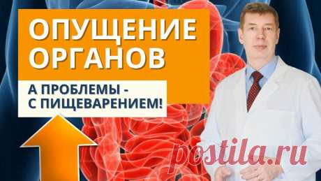 Почему опущение желудка, кишечника ухудшает качество пищеварения? | Система Соколинского. Видео. Исследования | Дзен
