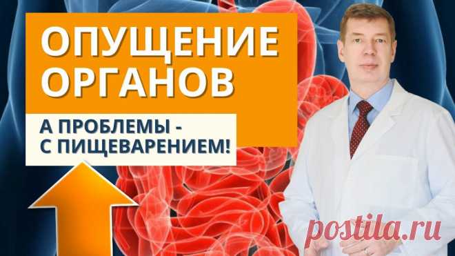 Почему опущение желудка, кишечника ухудшает качество пищеварения? | Система Соколинского. Видео. Исследования | Дзен