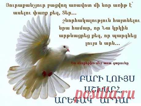 Վերջապեեեսսսսս
Գարունը եկավ վարդի շաղով,բլբուլի անուշ խաղով…
Վերջ ձմռանը...այսօր գարնան առաջին օրն է: Չնայած այս պահին՝առավոտ լուսո եղանակը մռայլ է, բայց ես ԲԱՐԻ ԼՈՒՅՍ մաղթելով Հայոց Աշխարհին, շնորհավորում եմ ամենքիս գարնան ավետաբեր լուսաբացը:
Գարուն՝ նոր կյանքի, նոր զարթոնքի սկիզբ: Գարուն, որը գալուստը ազդարարում է նոր ու նորացվածի սկիզբ:
Ինչևէ գարու՜նն արդեն եկավ…...ու շուտով հանելով իր վրձինը կսկսի գունավորել աստվածապարգեւ երկիրն իր բազմերանգ ներկապնակով.…