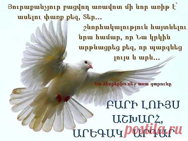 Վերջապեեեսսսսս
Գարունը եկավ վարդի շաղով,բլբուլի անուշ խաղով…
Վերջ ձմռանը...այսօր գարնան առաջին օրն է: Չնայած այս պահին՝առավոտ լուսո եղանակը մռայլ է, բայց ես ԲԱՐԻ ԼՈՒՅՍ մաղթելով Հայոց Աշխարհին, շնորհավորում եմ ամենքիս գարնան ավետաբեր լուսաբացը:
Գարուն՝ նոր կյանքի, նոր զարթոնքի սկիզբ: Գարուն, որը գալուստը ազդարարում է նոր ու նորացվածի սկիզբ:
Ինչևէ գարու՜նն արդեն եկավ…...ու շուտով հանելով իր վրձինը կսկսի գունավորել աստվածապարգեւ երկիրն իր բազմերանգ ներկապնակով.…