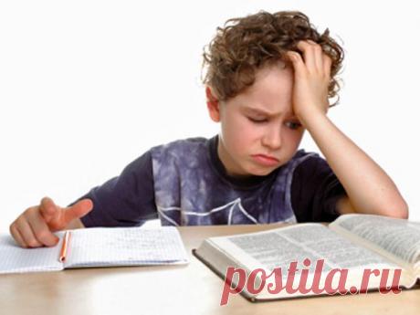 Цитаты из школьных сочинений | Домашняя аптечка