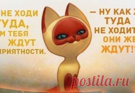Если вашу семью одолели бесконечные неприятности, то поступите так: