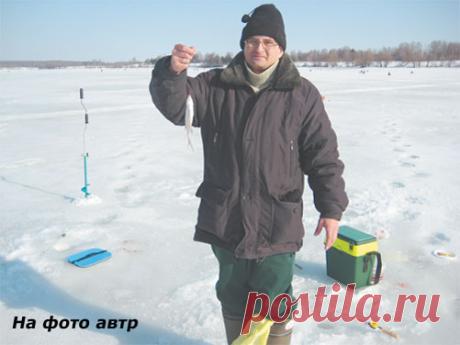 Моя «кобылка» - твоя «балалайка»!
Когда я впервые собирался на подледную рыбалку, то думал, что двух-трех удильников мне вполне достаточно. С течением времени я удостоверился в правильности такого подхода. Только вот, прежде чем под…