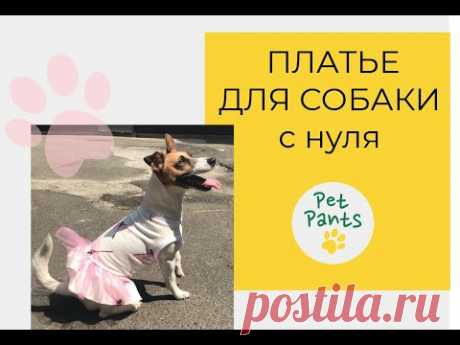 Платье для собаки. Строим лекало и шьем.