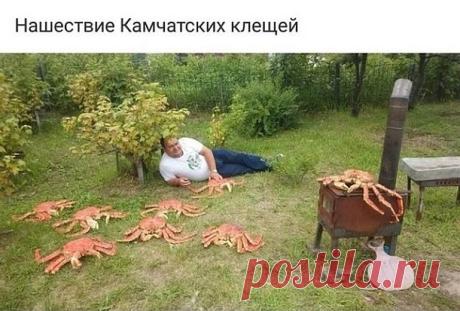 Продолжение ниже...
