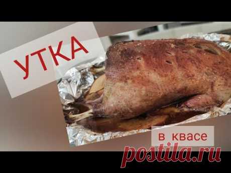 утка в квасе. в духовке #айдаповарИгорь