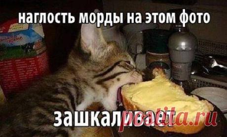 (65) Одноклассники