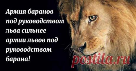 12 мудрых пословиц народов мира Цитируя английского философа Фрэнсиса Бэкона «Гений, ум и дух нации обнаруживаются в...