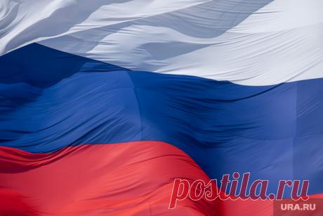 История государственного флага России Инфографика