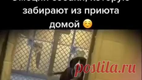 Счастье...