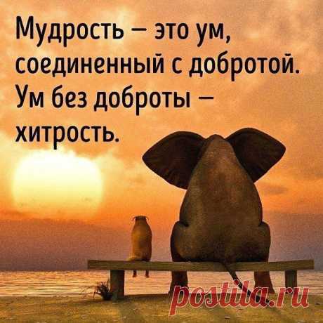 Лучшие цитаты