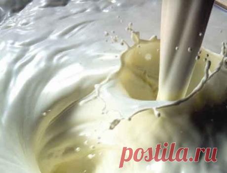 Чем же так особенно молоко? — Мегаздоров