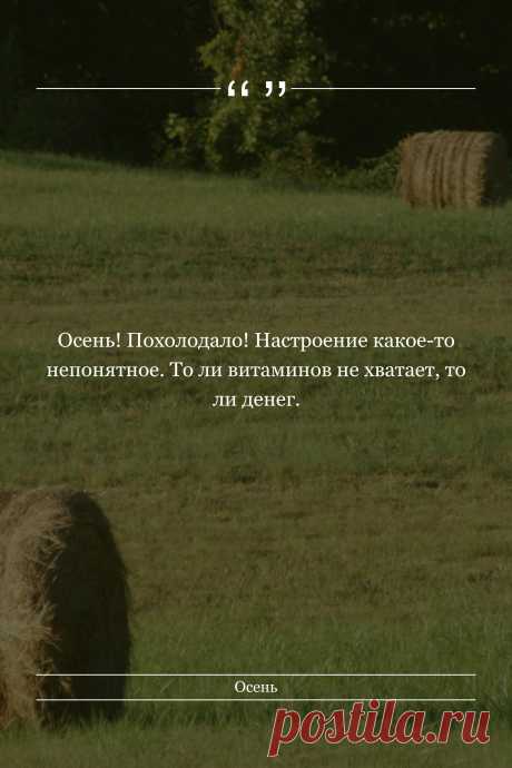 Цитата про «Осень» — Осень! Похолодало! Настроение какое-то…