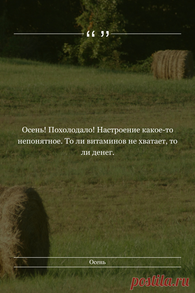 Цитата про «Осень» — Осень! Похолодало! Настроение какое-то…