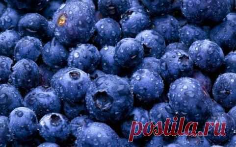 Питание для долголетия. ТОП -10 продуктов продляющих жизнь | Домоводство для всей семьи