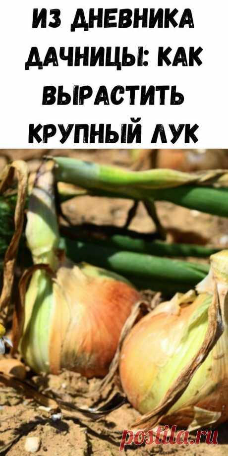 Пин содержит это изображение: Советы на каждый день