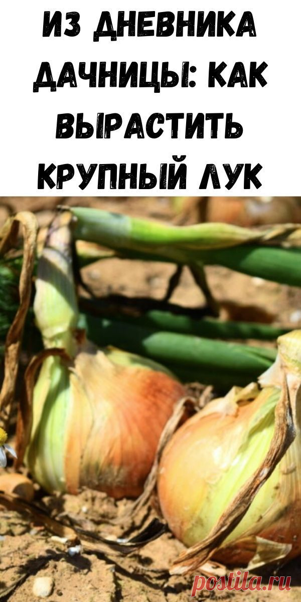 Пин содержит это изображение: Советы на каждый день