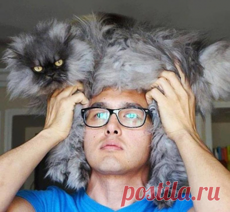 Из истории русских фразеологизмов, или Почему на воре шапка горит? / Научный хит