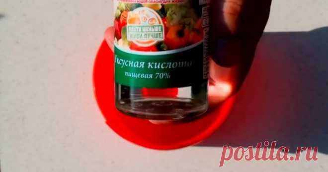 Устал бороться с травой на дорожке вручную. Но узнал простой метод от доброй соседки!- Встречаю сезон сорняков во всеоружии! | БЛОГ СТРОИТЕЛЯ | Яндекс Дзен