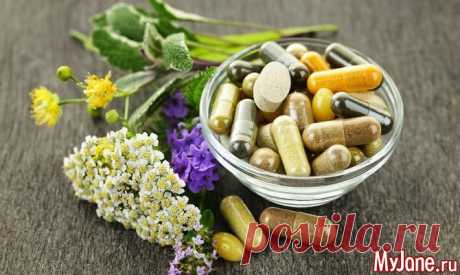 Незабываемые рецепты народной медицины - пневмония, бронхит, траволечение, народная медицина, кашель