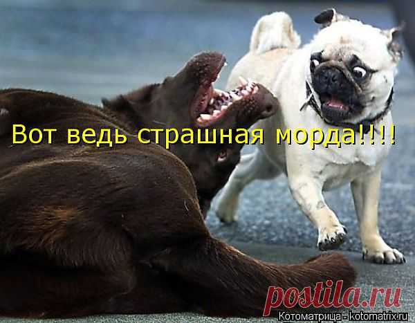 страшилище.....