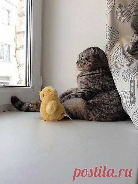 Ниндзя медитируют