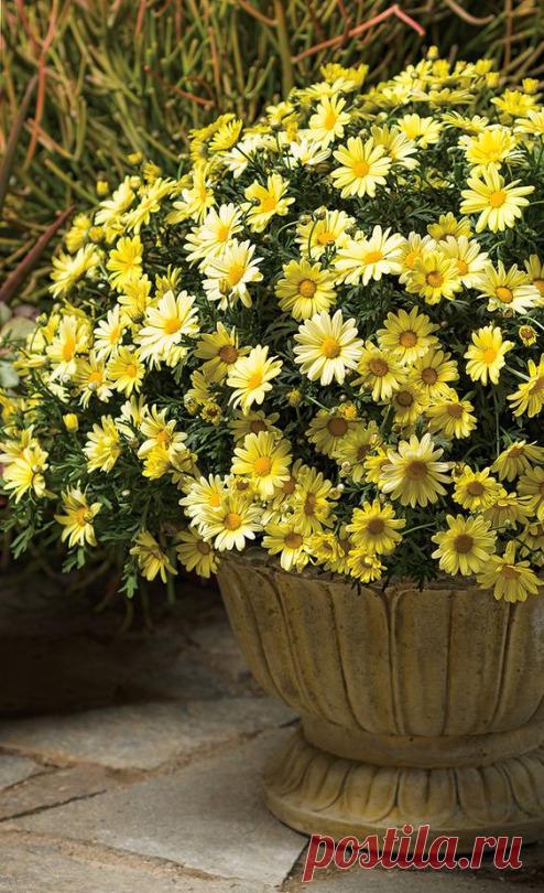 ....................