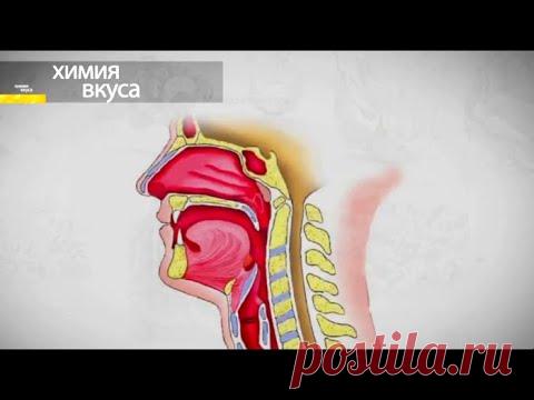 Химия вкуса