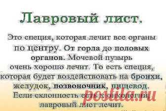 менно остеохондроз является причиной боли в спине в 80% случаев Для тех, у кого застарелый остеохондроз, лучше любых мазей из аптеки помогают средства на основе лаврового листа. Вот отличные рецепты: 1) Лавровое масло. Залить стаканом