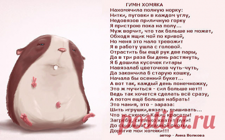 Стишок - Гимн Хомяка