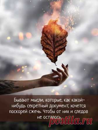 10 цитат Константина Симонова | БУКВОЕД | Яндекс Дзен