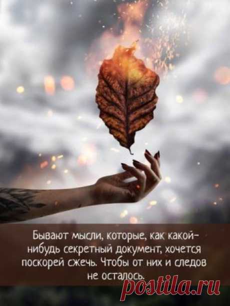 10 цитат Константина Симонова | БУКВОЕД | Яндекс Дзен