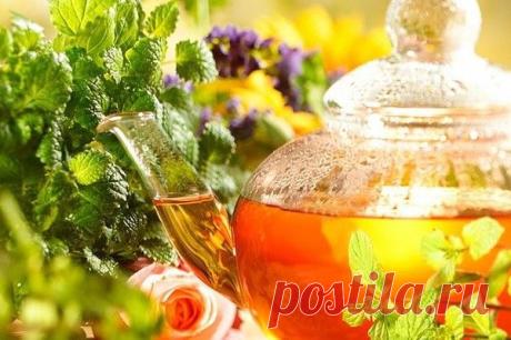 Что полезно для печени

Печень, выполняющая функцию очищения крови от токсинов, как и любой фильтр, со временем засоряется.