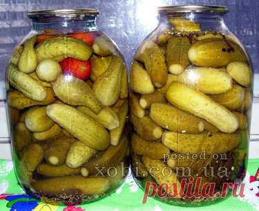 маринованные огурцы за три дня » Домашняя кулинария и ручная работа