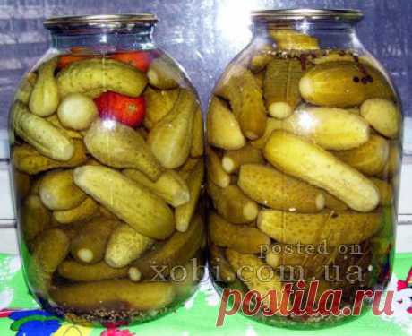 маринованные огурцы за три дня » Домашняя кулинария и ручная работа