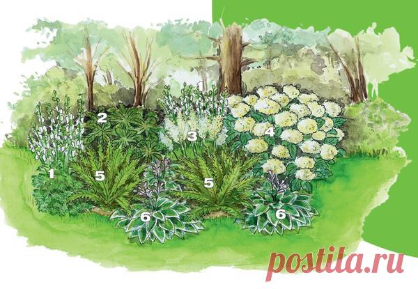 12 идей сада в тени